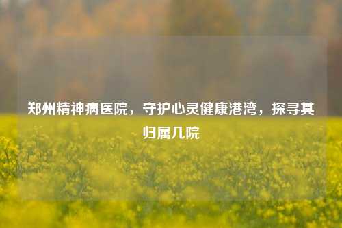 郑州精神病医院，守护心灵健康港湾，探寻其归属几院