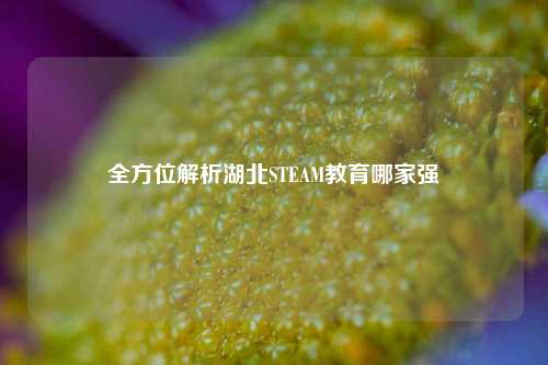 全方位解析湖北STEAM教育哪家强