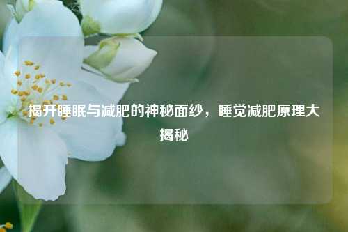 揭开睡眠与减肥的神秘面纱，睡觉减肥原理大揭秘