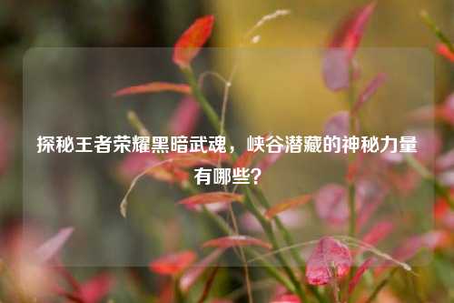 探秘王者荣耀黑暗武魂,峡谷潜藏的神秘力量有哪些?