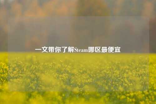 一文带你了解Steam哪区更便宜