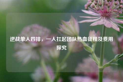 逆战单人四排，一人扛起团队热血征程及费用探究