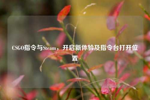 CSGO指令与Steam，开启新体验及指令台打开位置