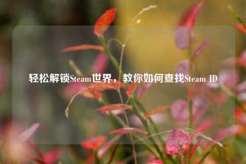 轻松解锁Steam世界,教你如何查找Steam ID