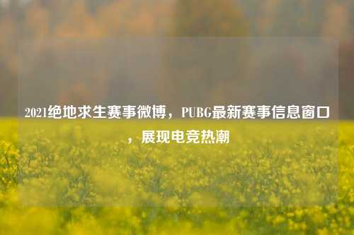 2021绝地求生赛事微博，PUBG最新赛事信息窗口，展现电竞热潮