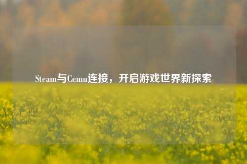 Steam与Cemu连接,开启游戏世界新探索