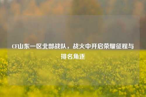 CF山东一区北部战队，战火中开启荣耀征程与排名角逐