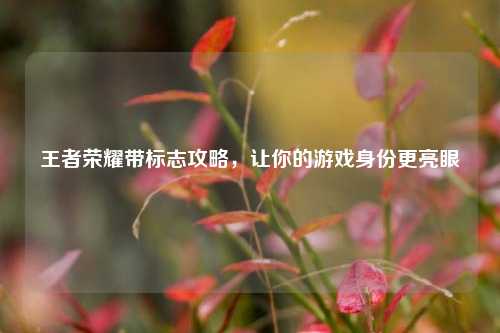 王者荣耀带标志攻略，让你的游戏身份更亮眼