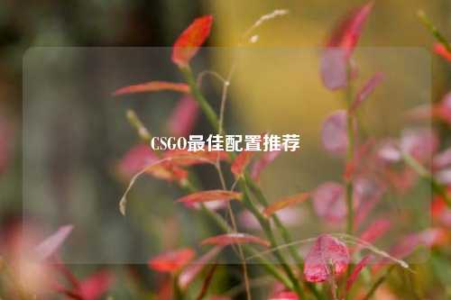 CSGO更佳配置推荐