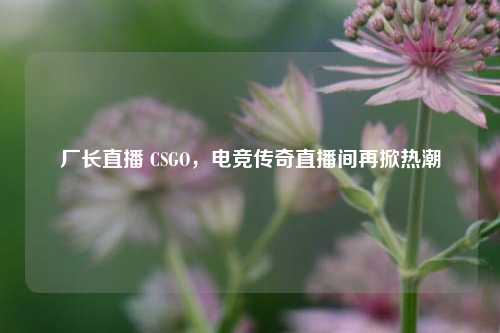 厂长直播 CSGO，电竞传奇直播间再掀热潮