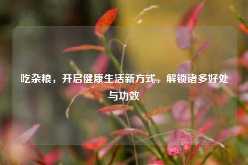 吃杂粮，开启健康生活新方式，解锁诸多好处与功效