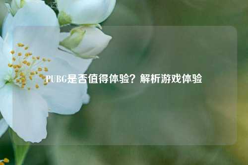 PUBG是否值得体验？解析游戏体验