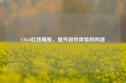 CSGO红线模板，提升游戏体验的利器