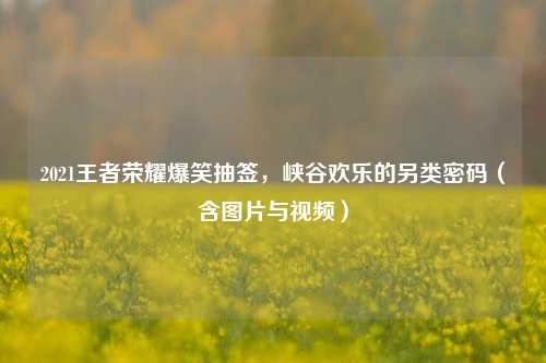 2021王者荣耀爆笑抽签,峡谷欢乐的另类密码(含图片与视频)