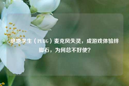 绝地求生（PUBG）麦克风失灵，成游戏体验绊脚石，为何总不好使？