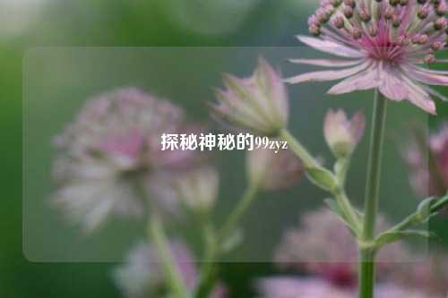 探秘神秘的99zyz