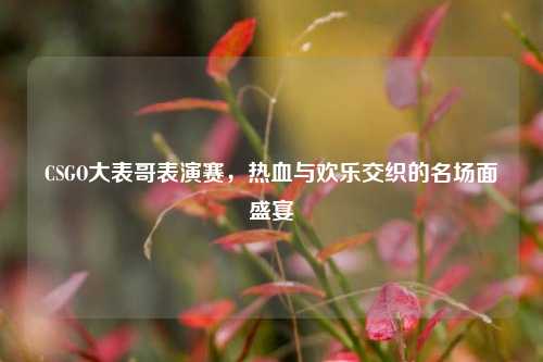 CSGO大表哥表演赛，热血与欢乐交织的名场面盛宴