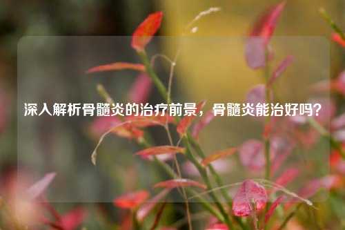 深入解析骨髓炎的治疗前景，骨髓炎能治好吗？