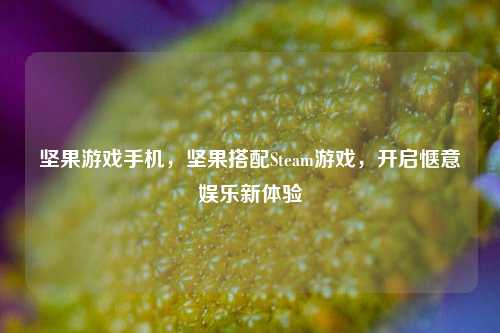 坚果游戏手机，坚果搭配Steam游戏，开启惬意娱乐新体验