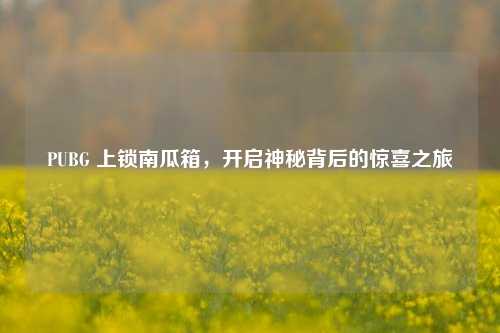 PUBG 上锁南瓜箱，开启神秘背后的惊喜之旅
