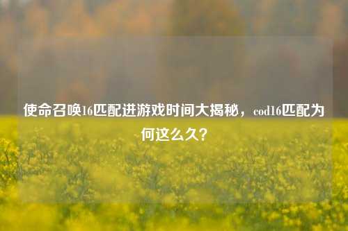 使命召唤16匹配进游戏时间大揭秘，cod16匹配为何这么久？