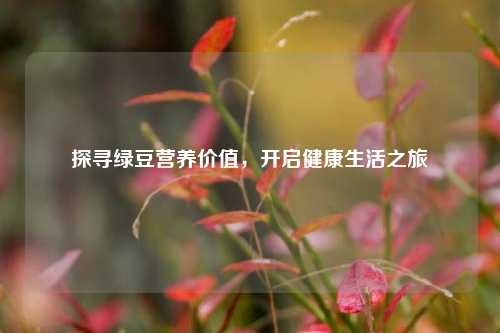 探寻绿豆营养价值，开启健康生活之旅