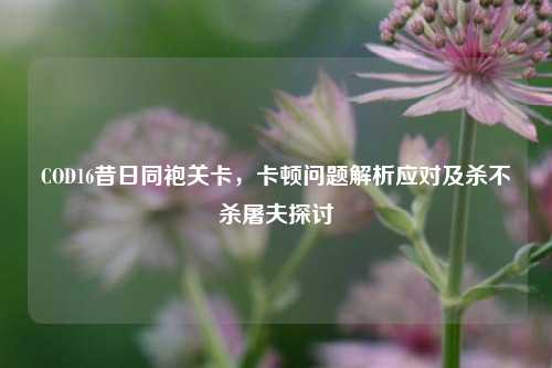 COD16昔日同袍关卡，卡顿问题解析应对及杀不杀屠夫探讨