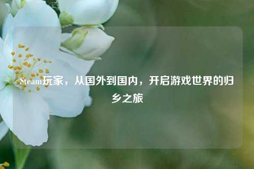 Steam玩家，从国外到国内，开启游戏世界的归乡之旅