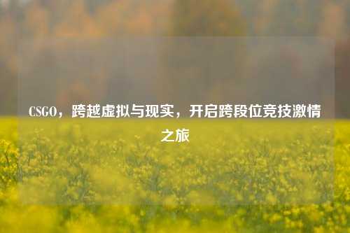 CSGO，跨越虚拟与现实，开启跨段位竞技***之旅