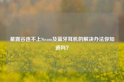 星露谷连不上Steam及蓝牙耳机的解决办法你知道吗？