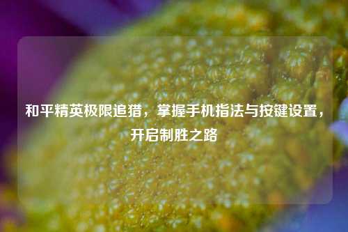 和平精英极限追猎，掌握手机指法与按键设置，开启制胜之路