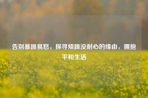 告别暴躁易怒，探寻烦躁没耐心的缘由，拥抱平和生活