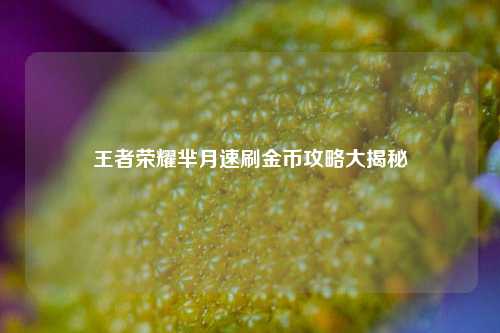 王者荣耀芈月速刷金币攻略大揭秘