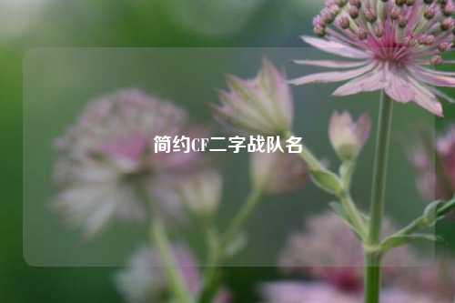简约CF二字战队名
