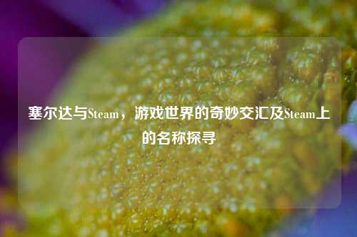塞尔达与Steam，游戏世界的奇妙交汇及Steam上的名称探寻