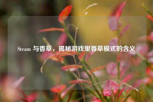 Steam 与香草，揭秘游戏里香草模式的含义