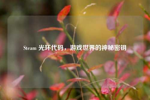 Steam 光环代码，游戏世界的神秘密钥
