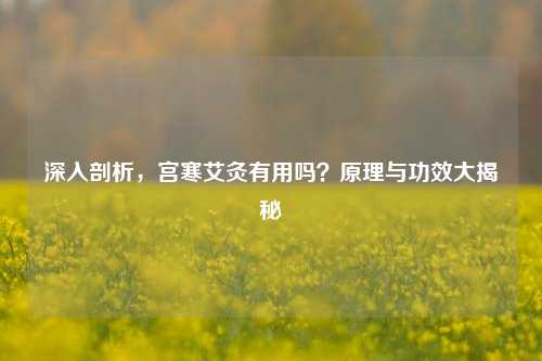 深入剖析，宫寒艾灸有用吗？原理与功效大揭秘
