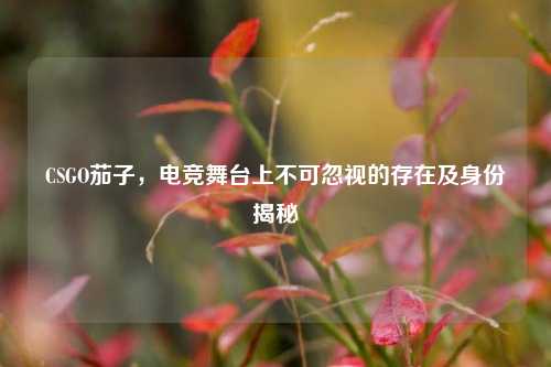 CSGO茄子,电竞舞台上不可忽视的存在及身份揭秘
