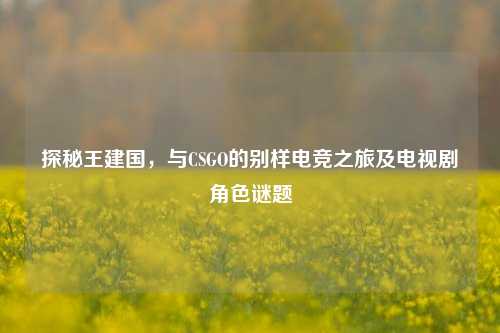 探秘王建国，与CSGO的别样电竞之旅及电视剧角色谜题