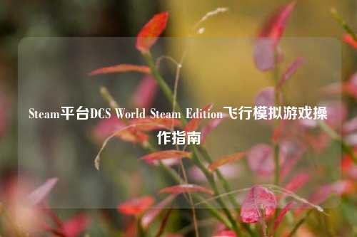 Steam平台DCS World Steam Edition飞行模拟游戏操作指南