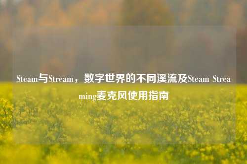 Steam与Stream，数字世界的不同溪流及Steam Streaming麦克风使用指南