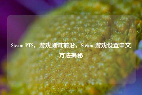 Steam PTS，游戏测试前沿，Steam 游戏设置中文方法揭秘