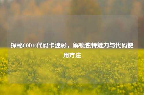 探秘COD16代码卡迷彩，解锁独特魅力与代码使用方法
