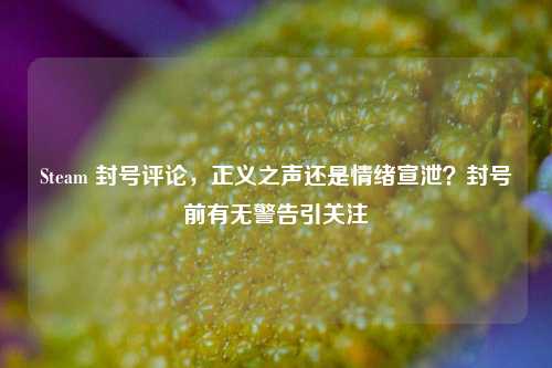 Steam 封号评论,正义之声还是情绪宣泄?封号前有无警告引关注