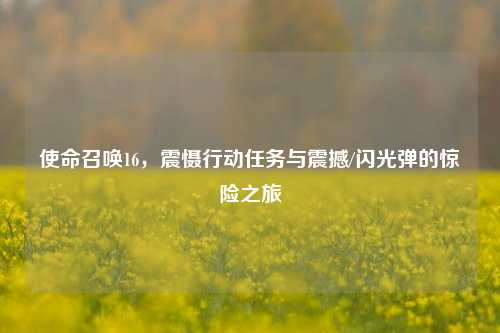 使命召唤16，震慑行动任务与震撼/闪光弹的惊险之旅