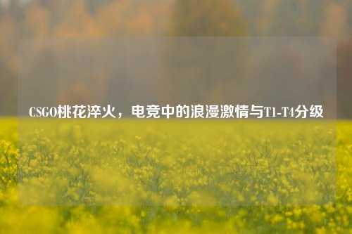 CSGO桃花淬火,电竞中的浪漫***与T1-T4分级