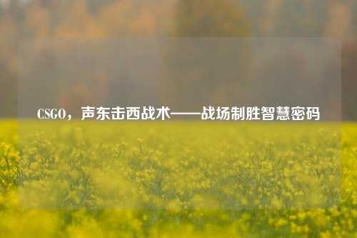 CSGO,声东击西战术——战场制胜智慧密码