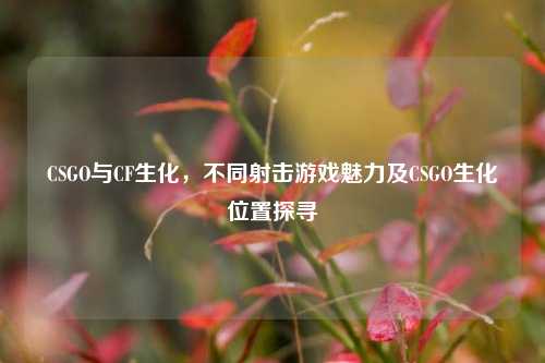 CSGO与CF生化,不同射击游戏魅力及CSGO生化位置探寻