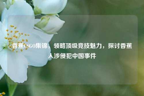香蕉CSGO集锦，领略顶级竞技魅力，探讨香蕉人涉侵犯中国事件